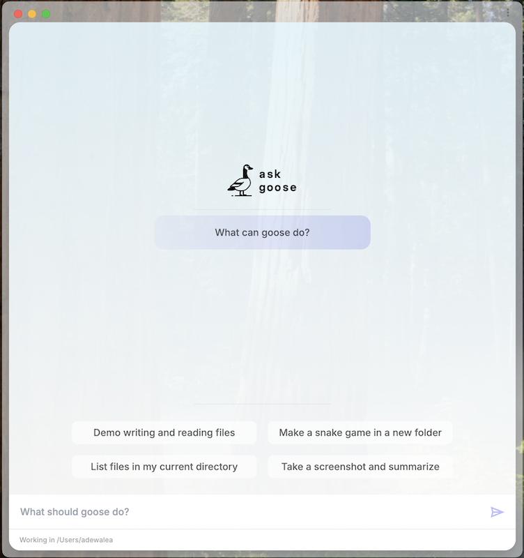 goose GUI
